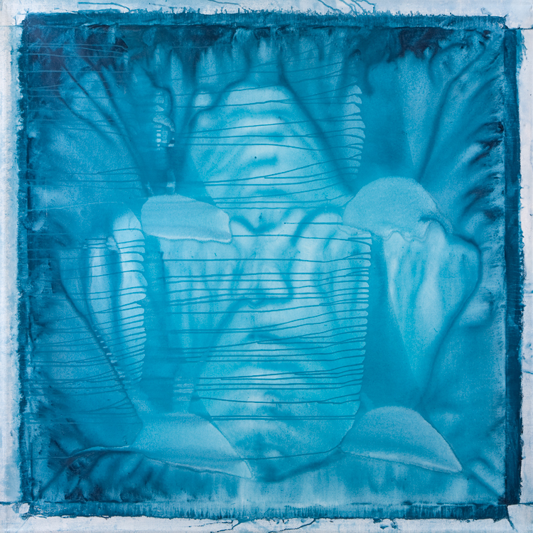 521 - hydra 1370 * 1370 mm acrylic on linen © Anita Levering 2011