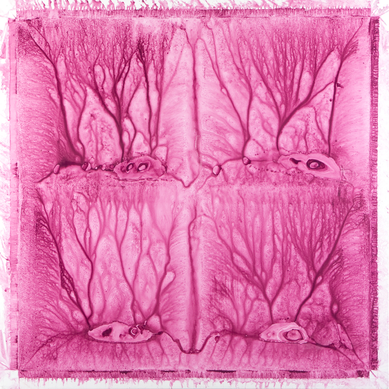 534 - mono - capuut mortuum 1520 * 1520 mm acrylic on polyester © Anita Levering 2012