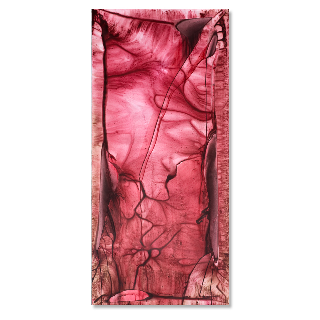 579 - Cochineal 26 * 56 inch acrylic on polyester © Anita Levering 2013