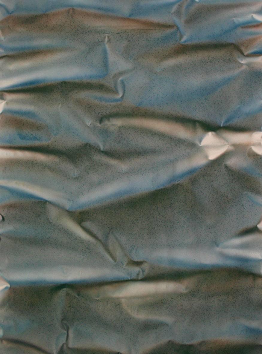 613 - pisces grey 1100* 1600 mm acrylic on unprimed canvas © Anita Levering 2014