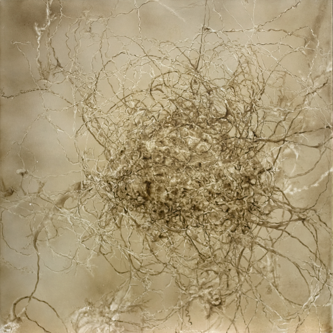 649 - writhing mass 1200 * 1200 mm vermi solution, pigment on polyester © Anita Levering 2016