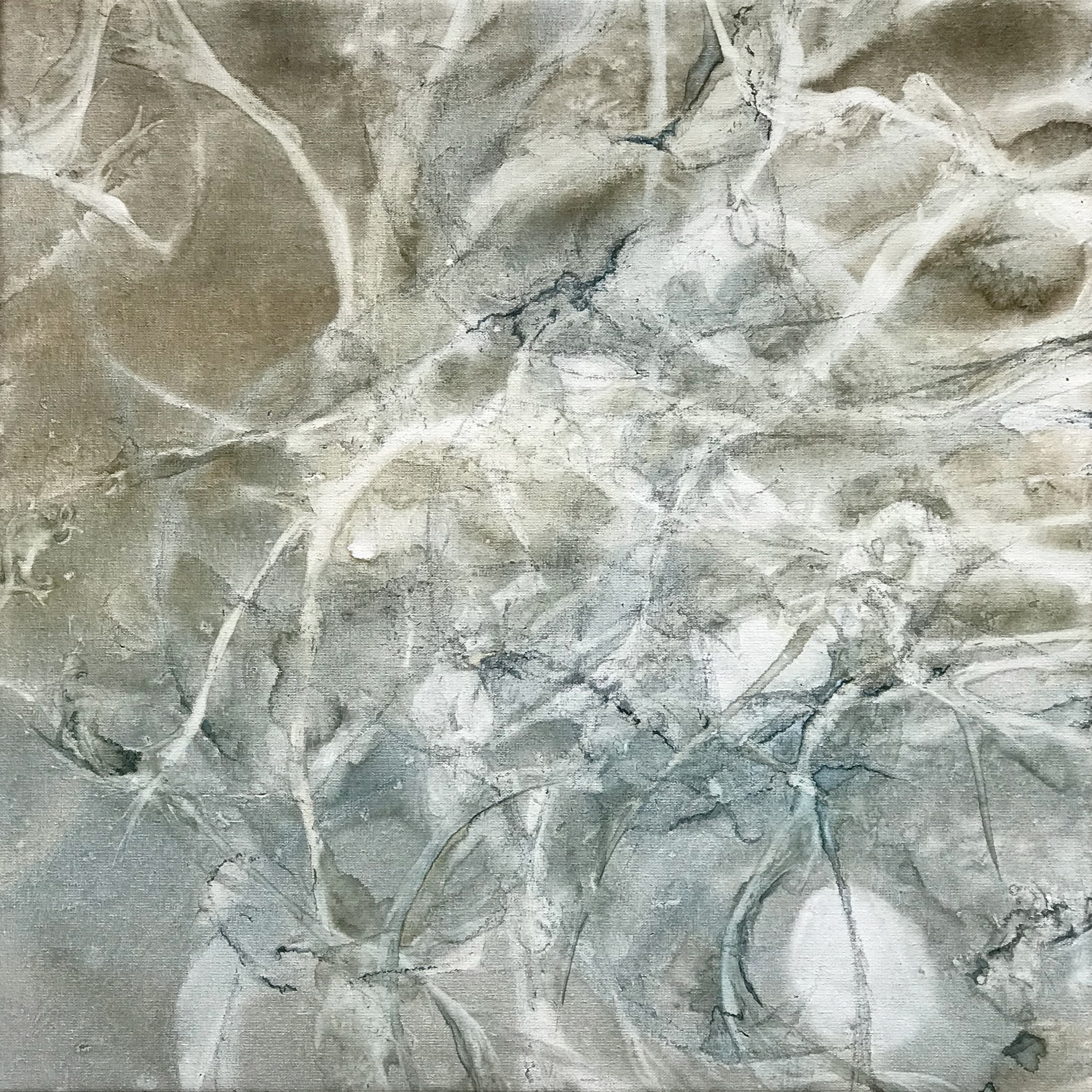 648 - bioturbation 1500 * 1500 mm vermi solution, pigment on canvas © Anita Levering 2016